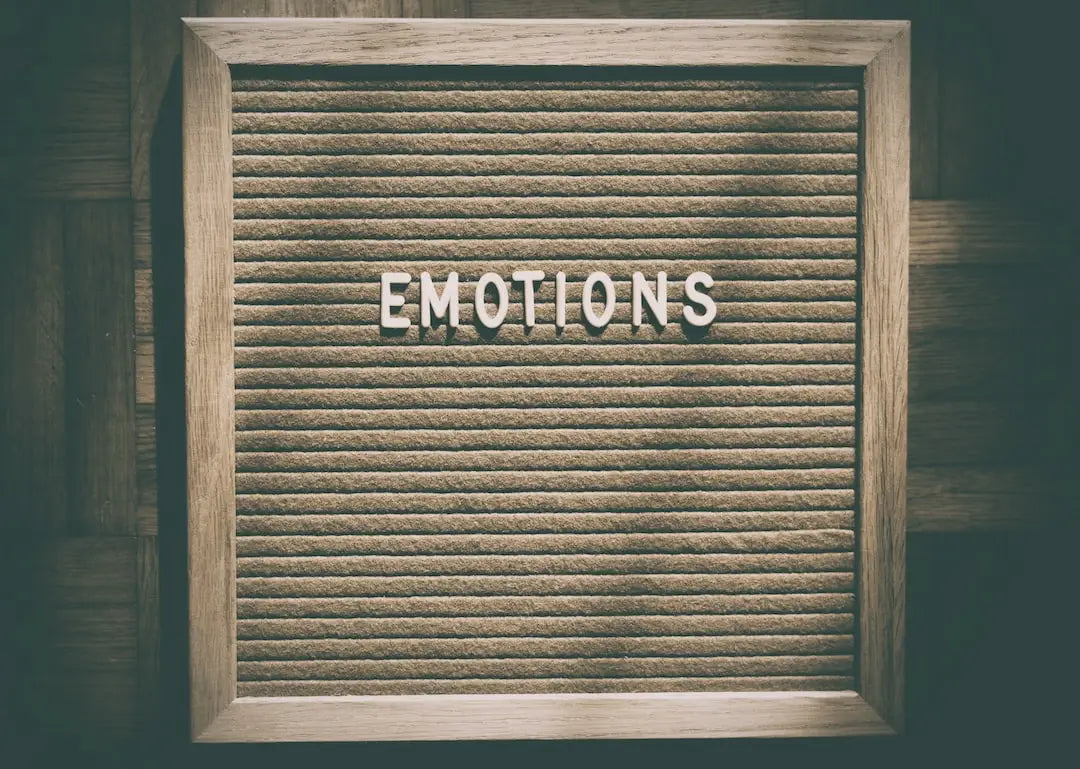 Exploring the Connection Between Art and Emotions