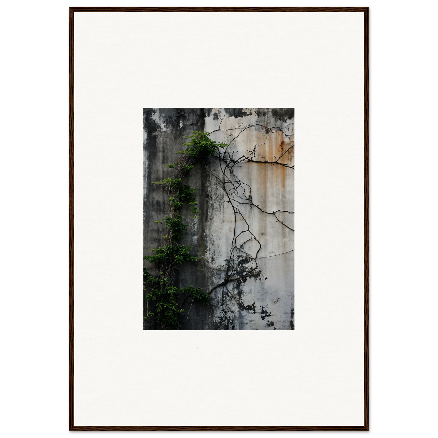 Framed photograph of a weathered wall with vines for urban tango room decoration