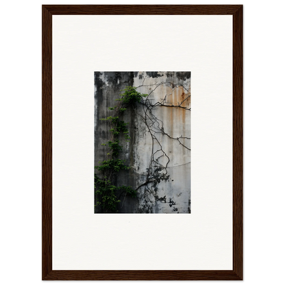 Framed canvas print of a weathered wall with vines for trendy urban tango room decoration