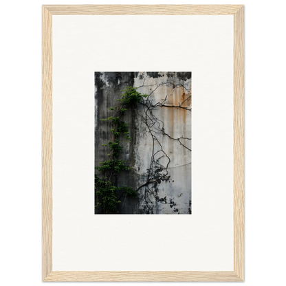 Framed canvas print of a weathered wall with vines for stylish urban tango room decoration