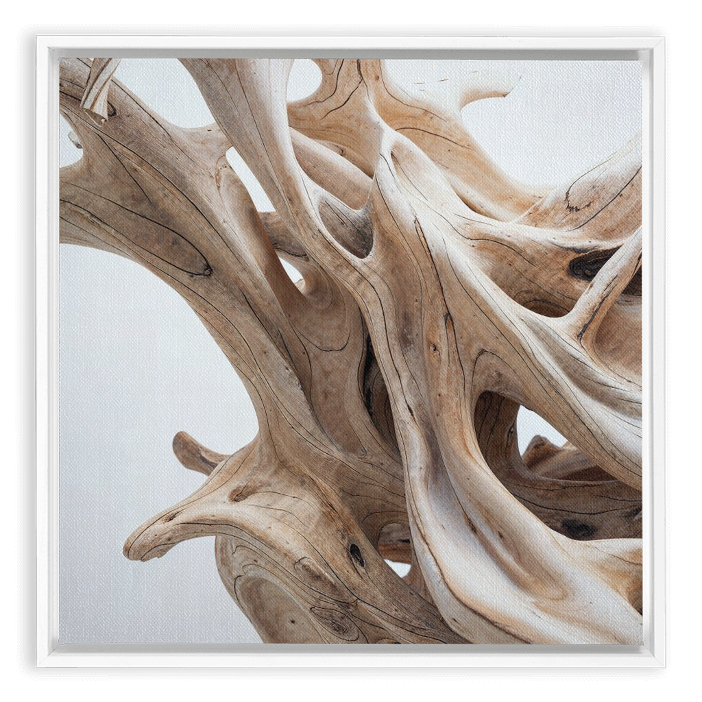 A framed piece of Driftwood dance - XXL Framed Traditional Stretched Canvas in a white frame.