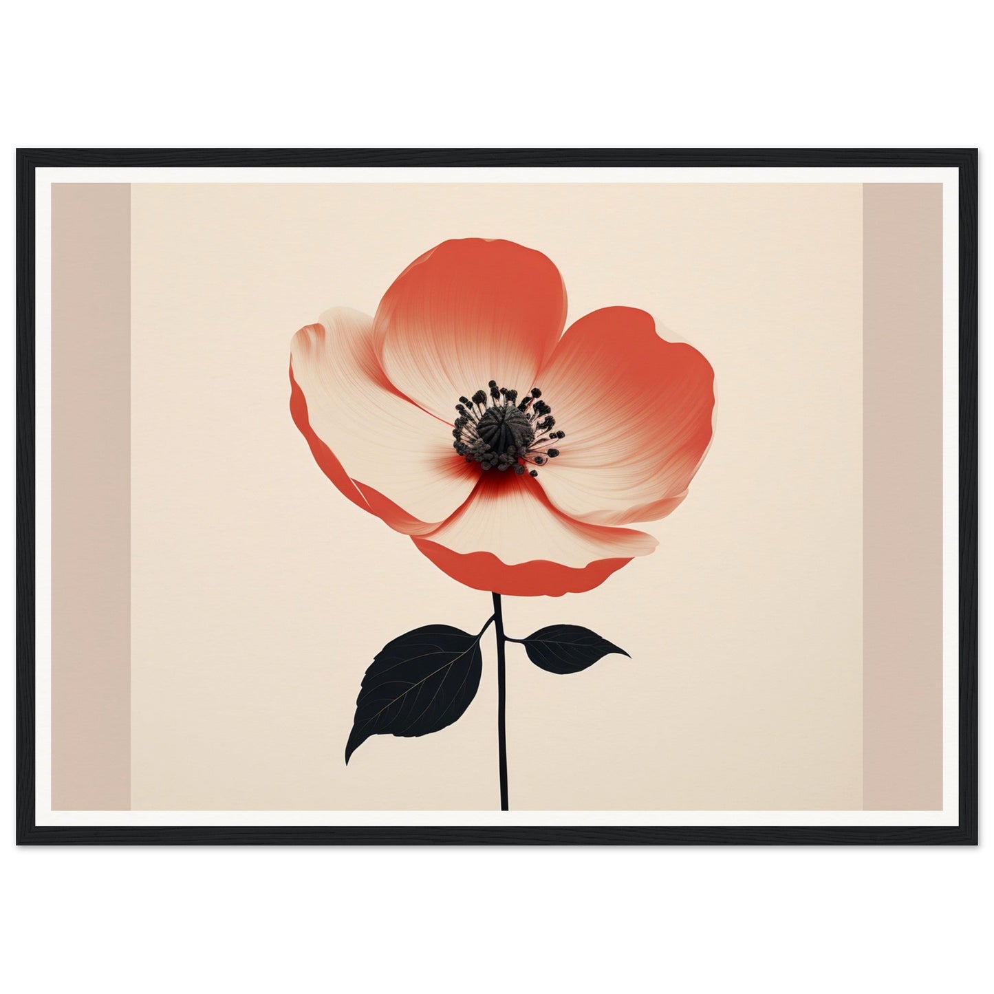 Red and white poppy flower with a black stem and leaves.