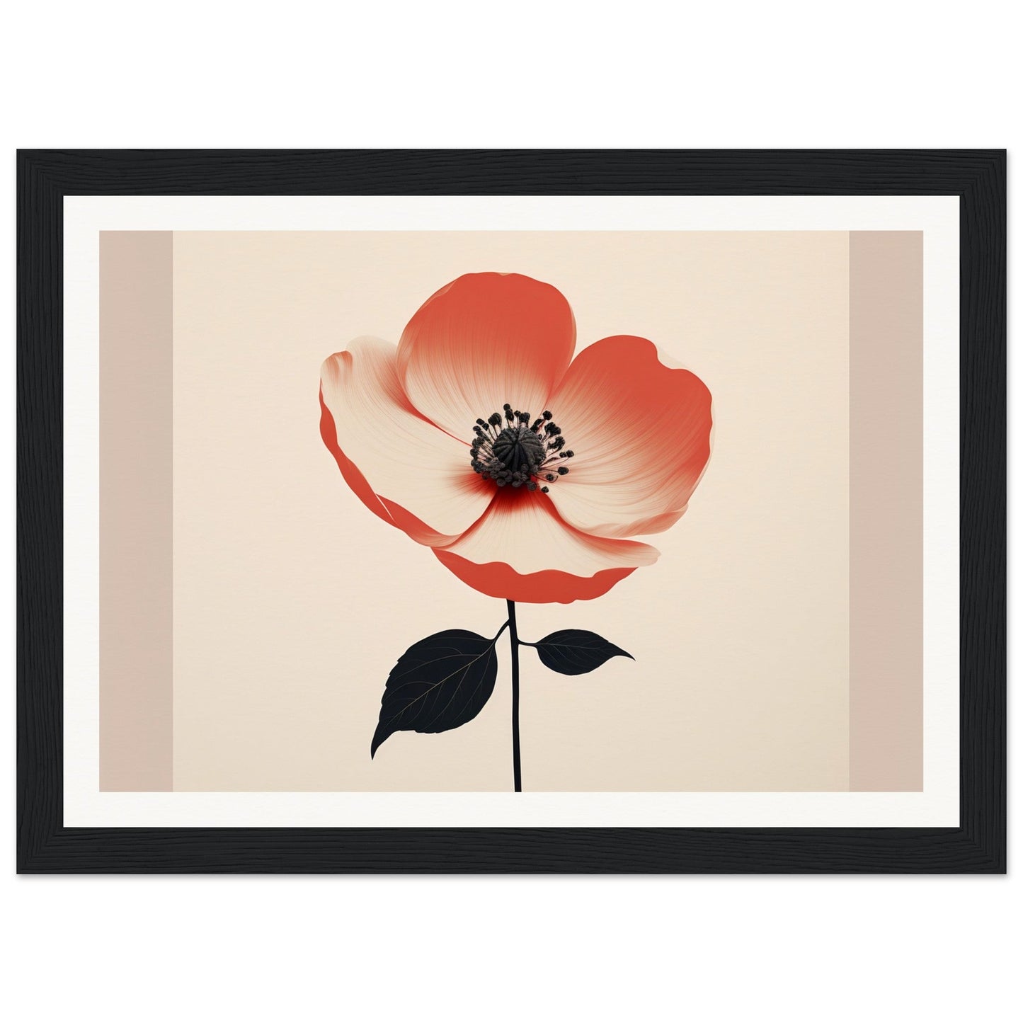 Red and white poppy flower with a black center and stem.