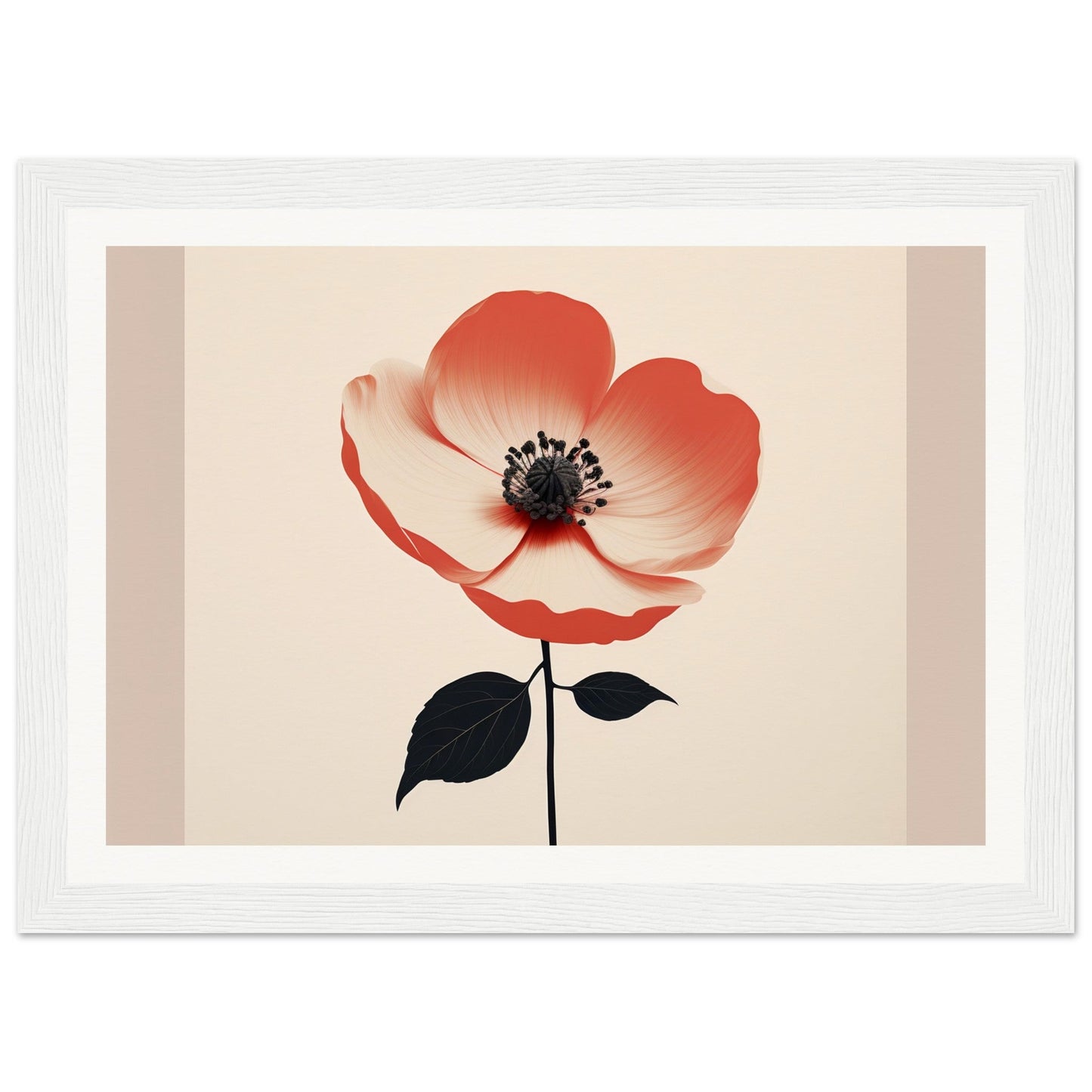 Red and white poppy flower with a black center and stem.