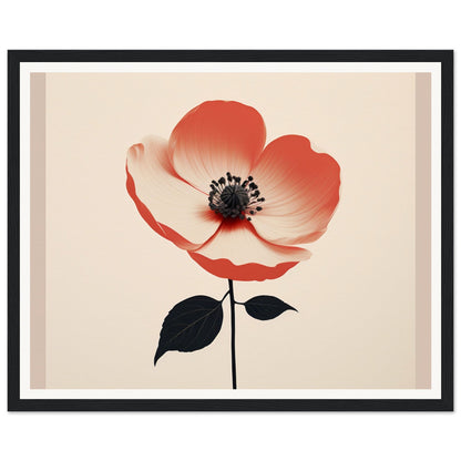 Red and white poppy flower with black stem and leaves.