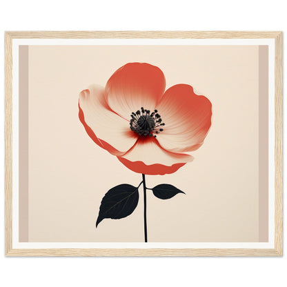 Red and white poppy flower with a black stem and leaves.