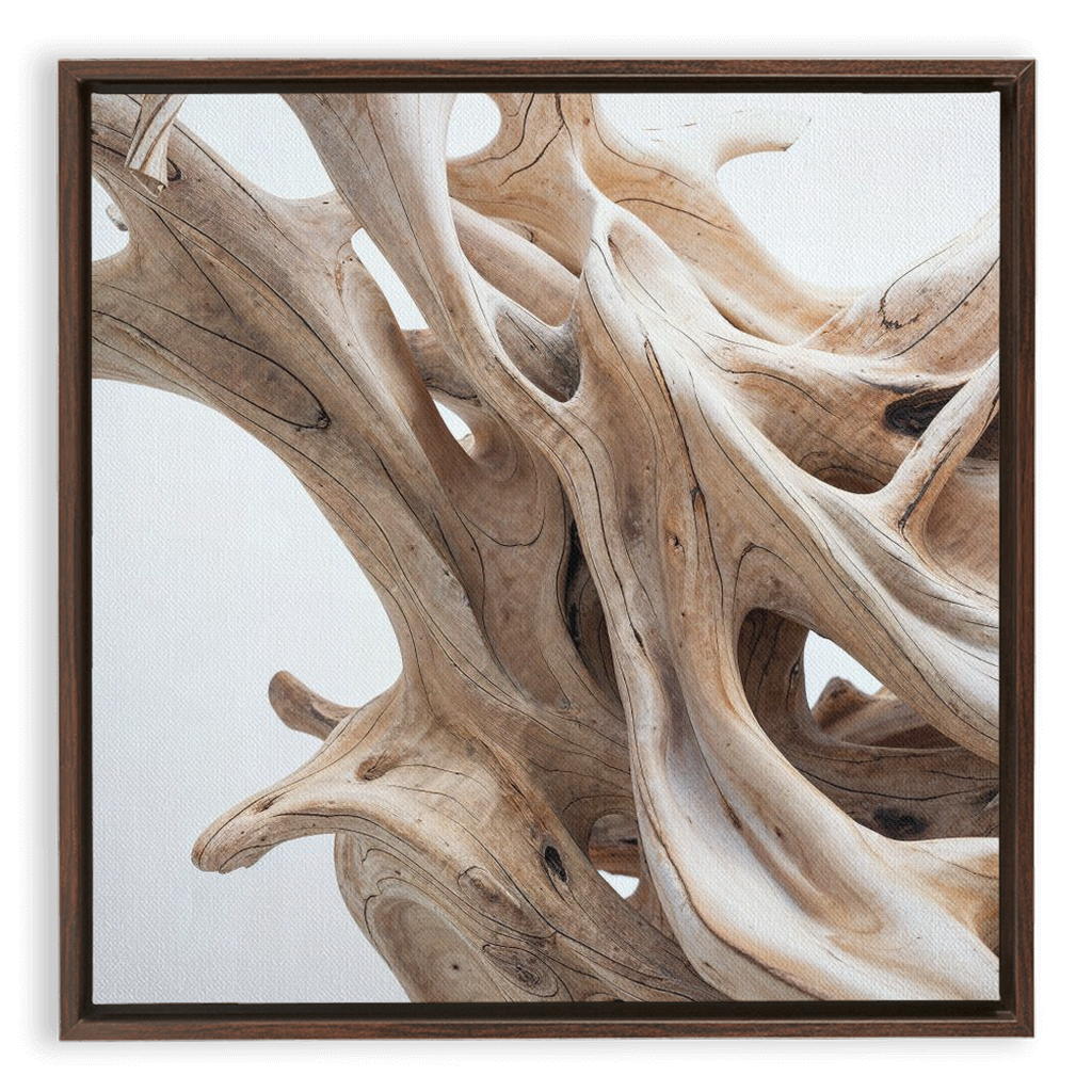 The text without irrelevant codes: A framed piece of Driftwood dance - XXL Framed Traditional Stretched Canvas in a white frame.