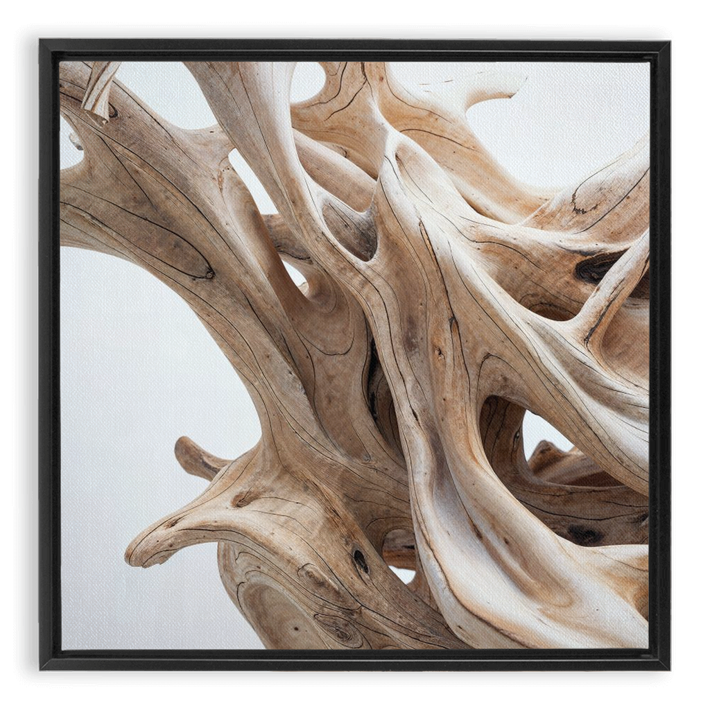 A piece of Driftwood dance - XXL Framed Traditional Stretched Canvas in a black frame.
