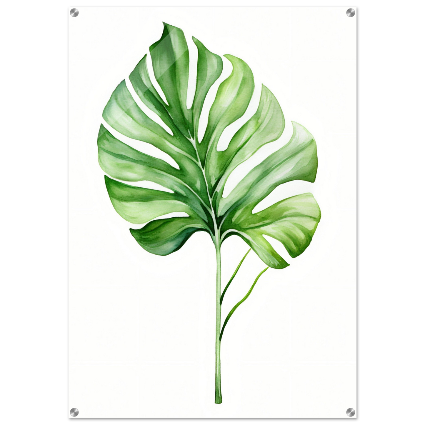 A green leaf print on a white background