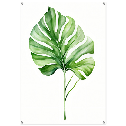 A green leaf print on a white background