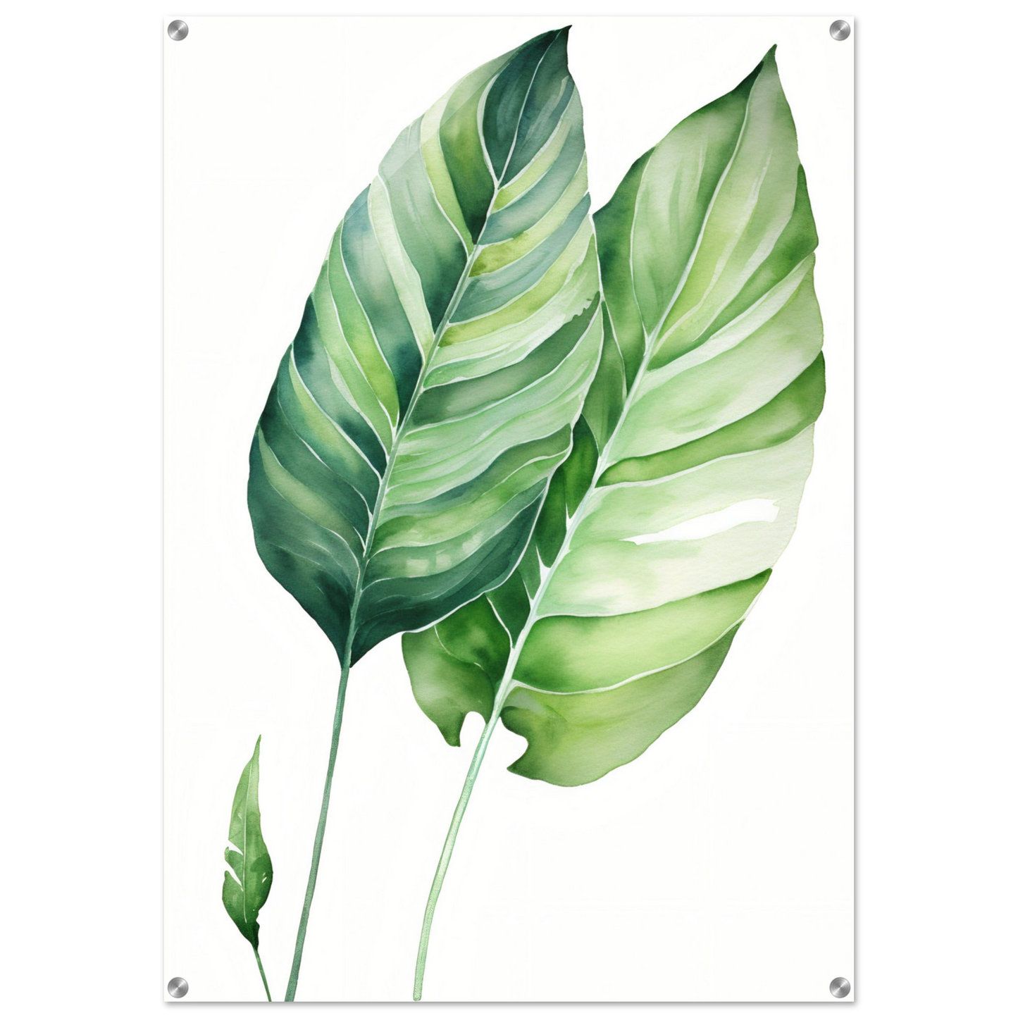 A green leaf print on a white background