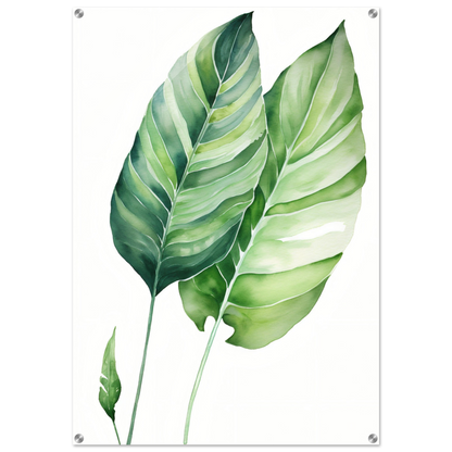 A green leaf print on a white background