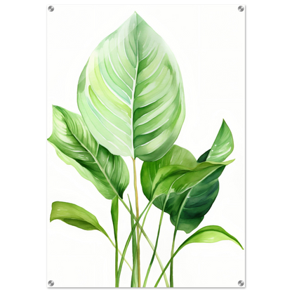 A high-quality close up of Aquarelles Tropical Leaf A - Acrylic Print The Oracle Windows™ Collection.