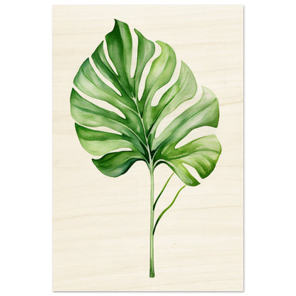 A green leaf on a white background