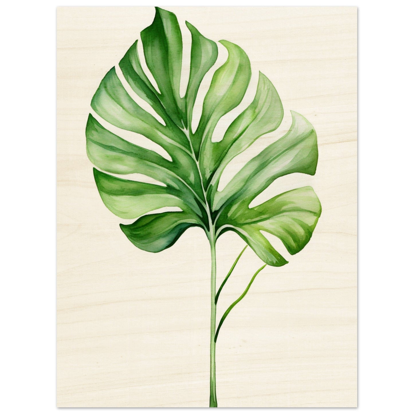 A green leaf on a white background