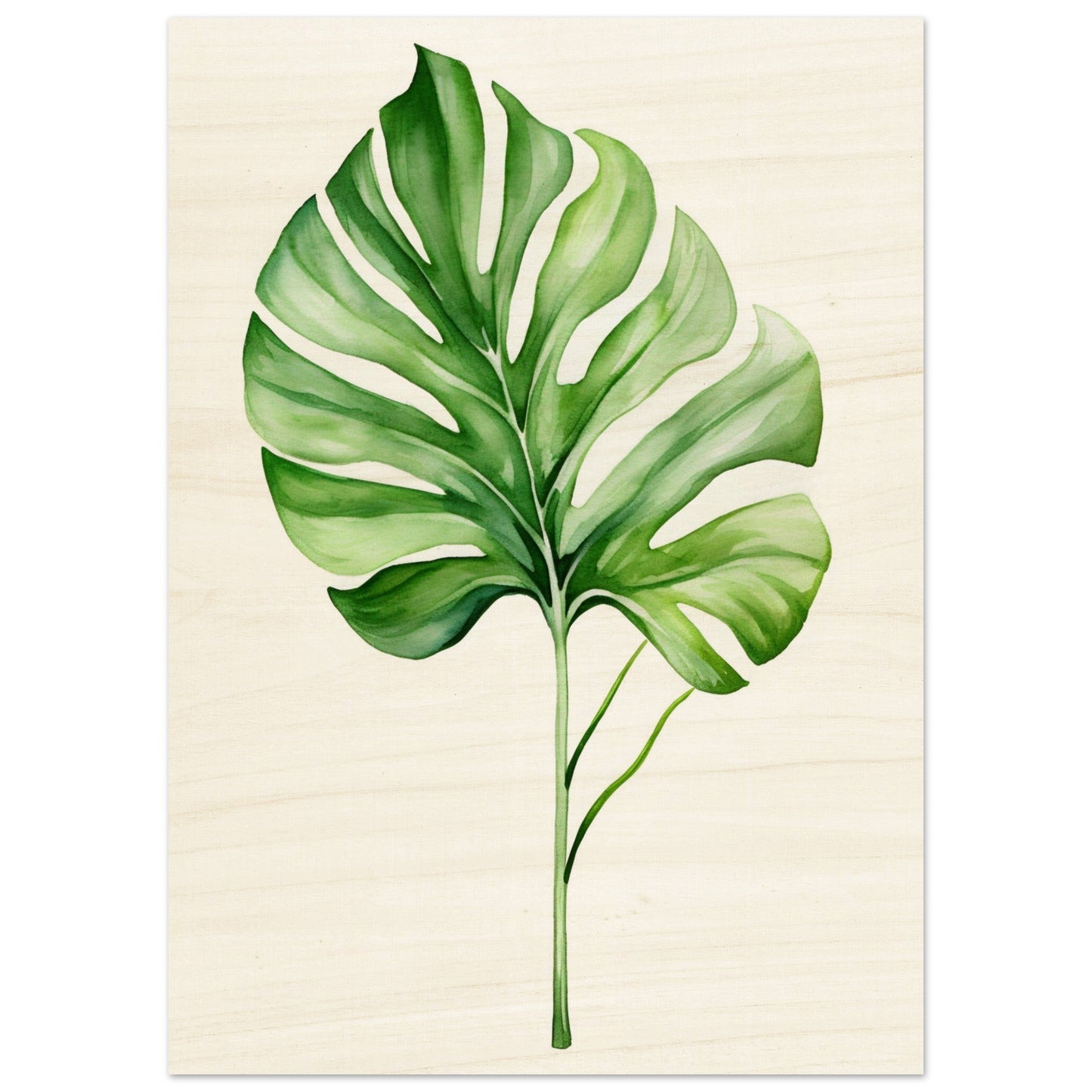 A green leaf on a white background