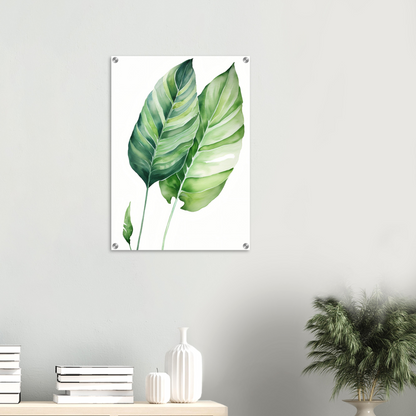 A green leaf on a white background