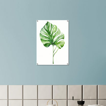 A green leaf on a white background