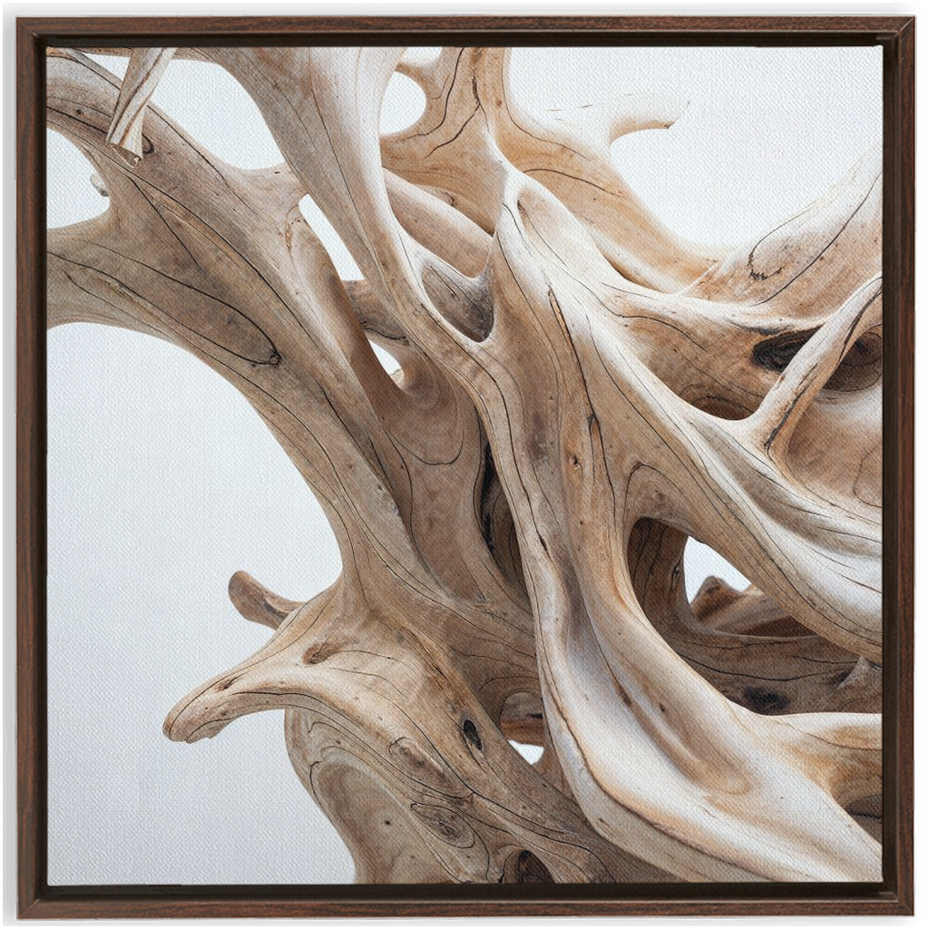 A piece of driftwood dance with a XXL framed traditional stretched canvas frame.