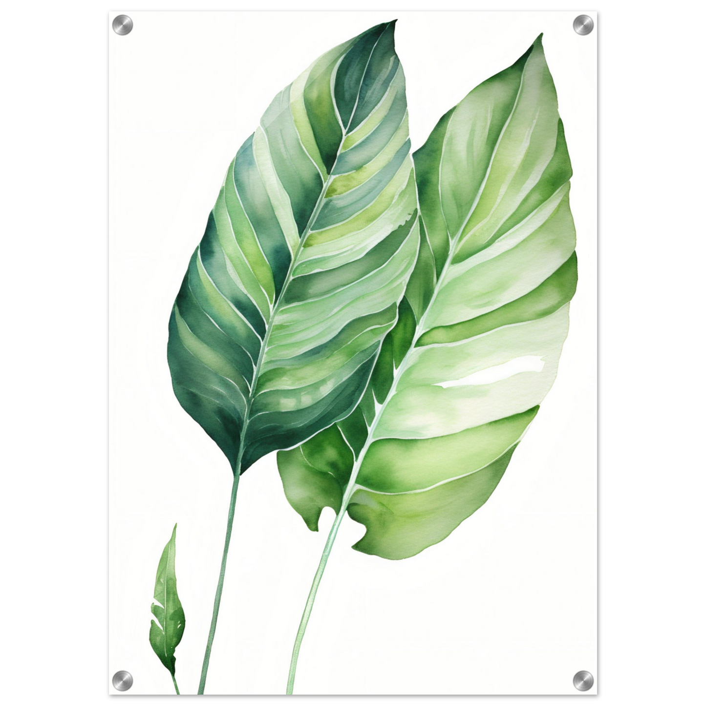 Two green tropical leaves with prominent veins and elongated shapes.