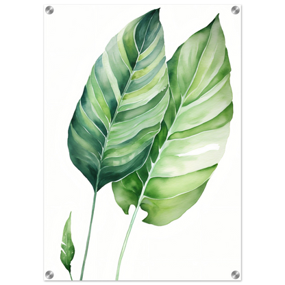 Two green tropical leaves with prominent veins and elongated shapes.