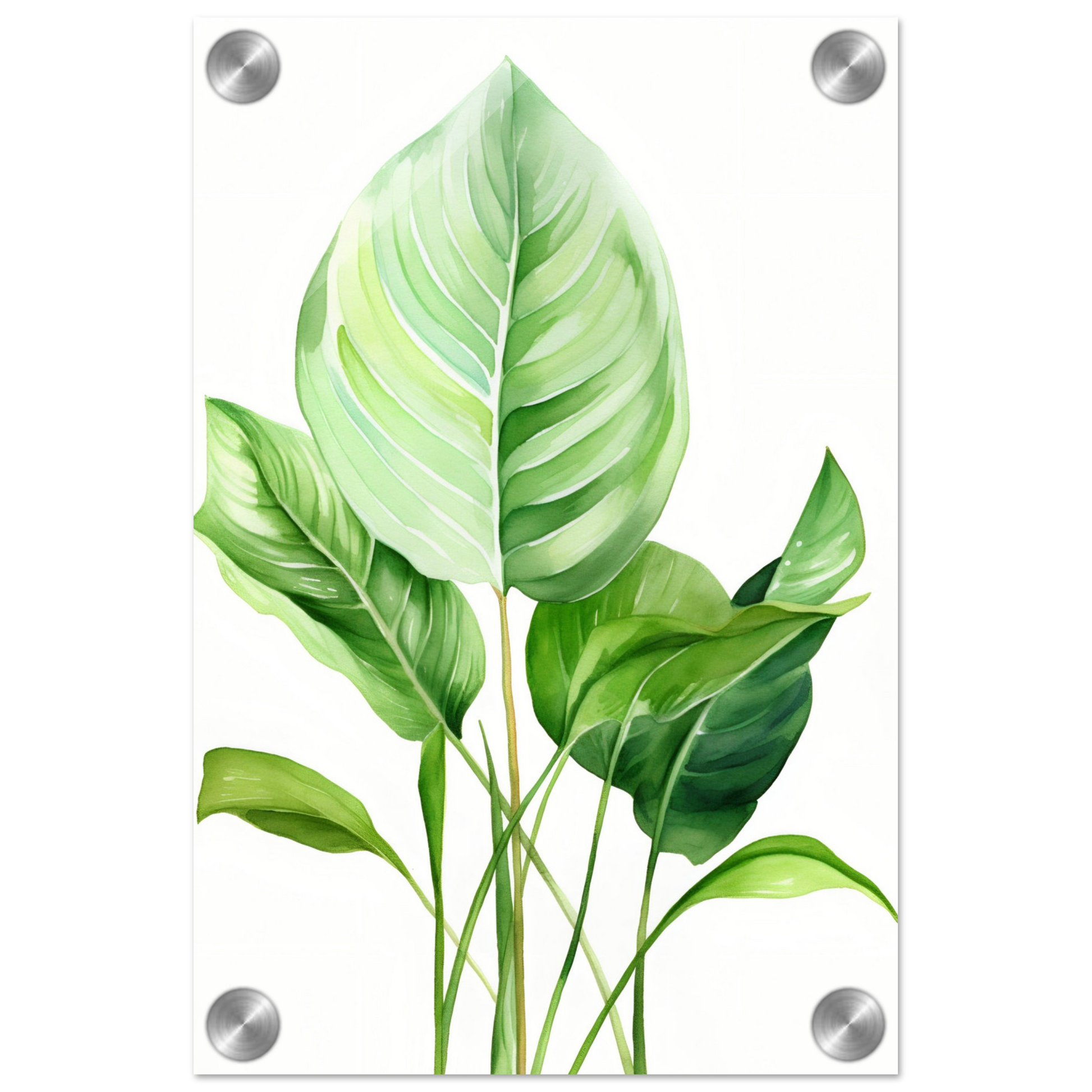 A high-quality close up of Aquarelles Tropical Leaf A - Acrylic Print The Oracle Windows™ Collection.