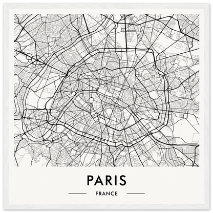 Map of Paris showing its intricate street network and urban layout.