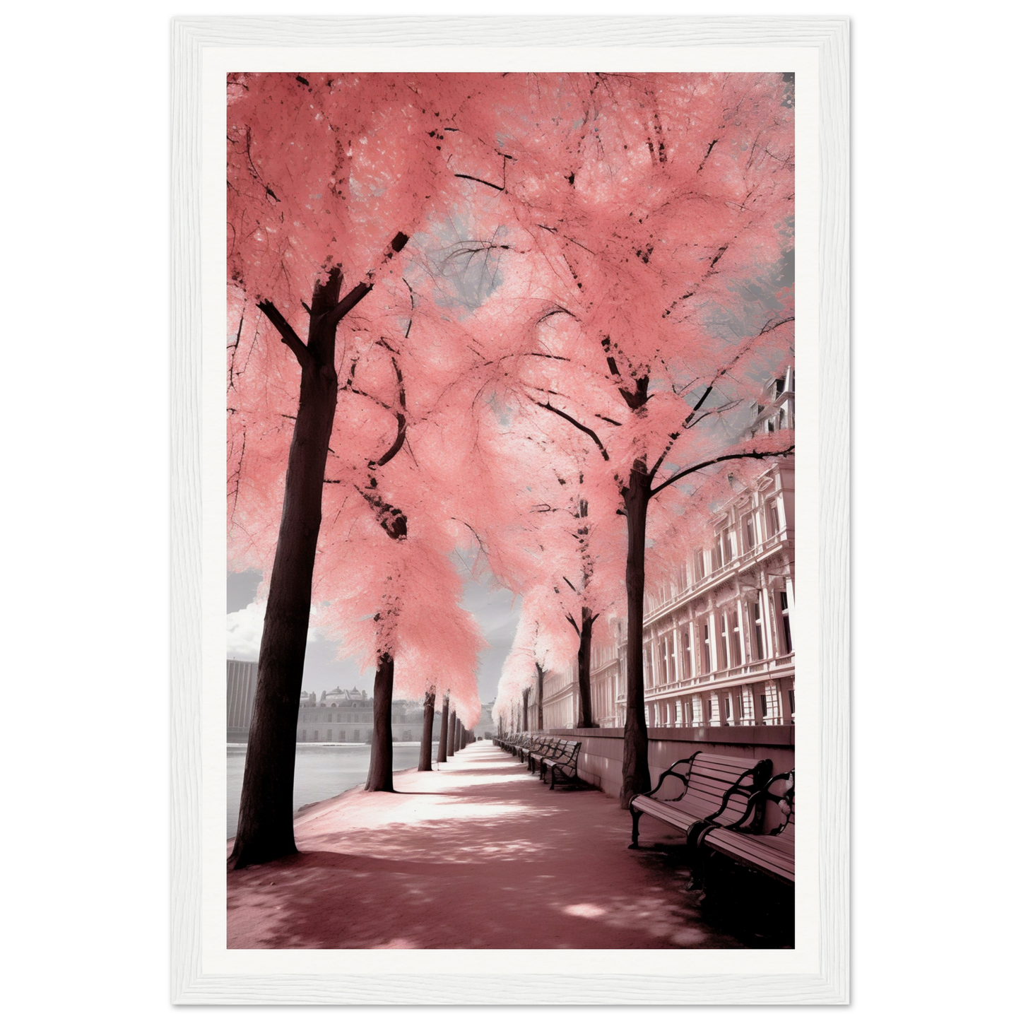 A pink tree lined with pink leaves in a city street