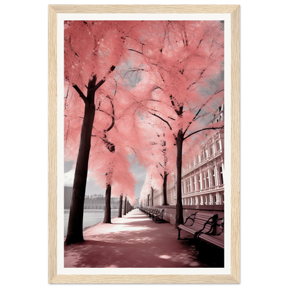 A pink tree lined with pink leaves in a city street