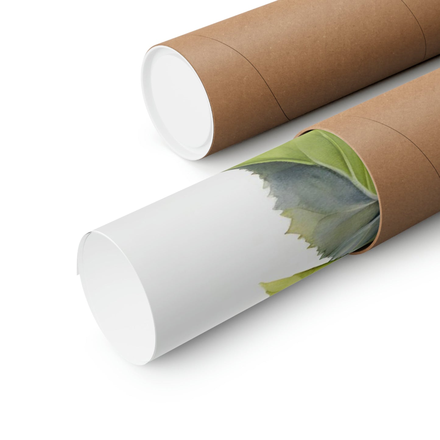 Two rolls of brown paper with green leaves on them