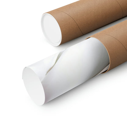 Two rolls of brown paper on white background