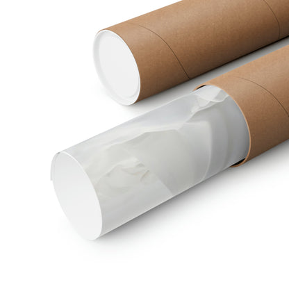 Two rolls of toilet paper on a white background