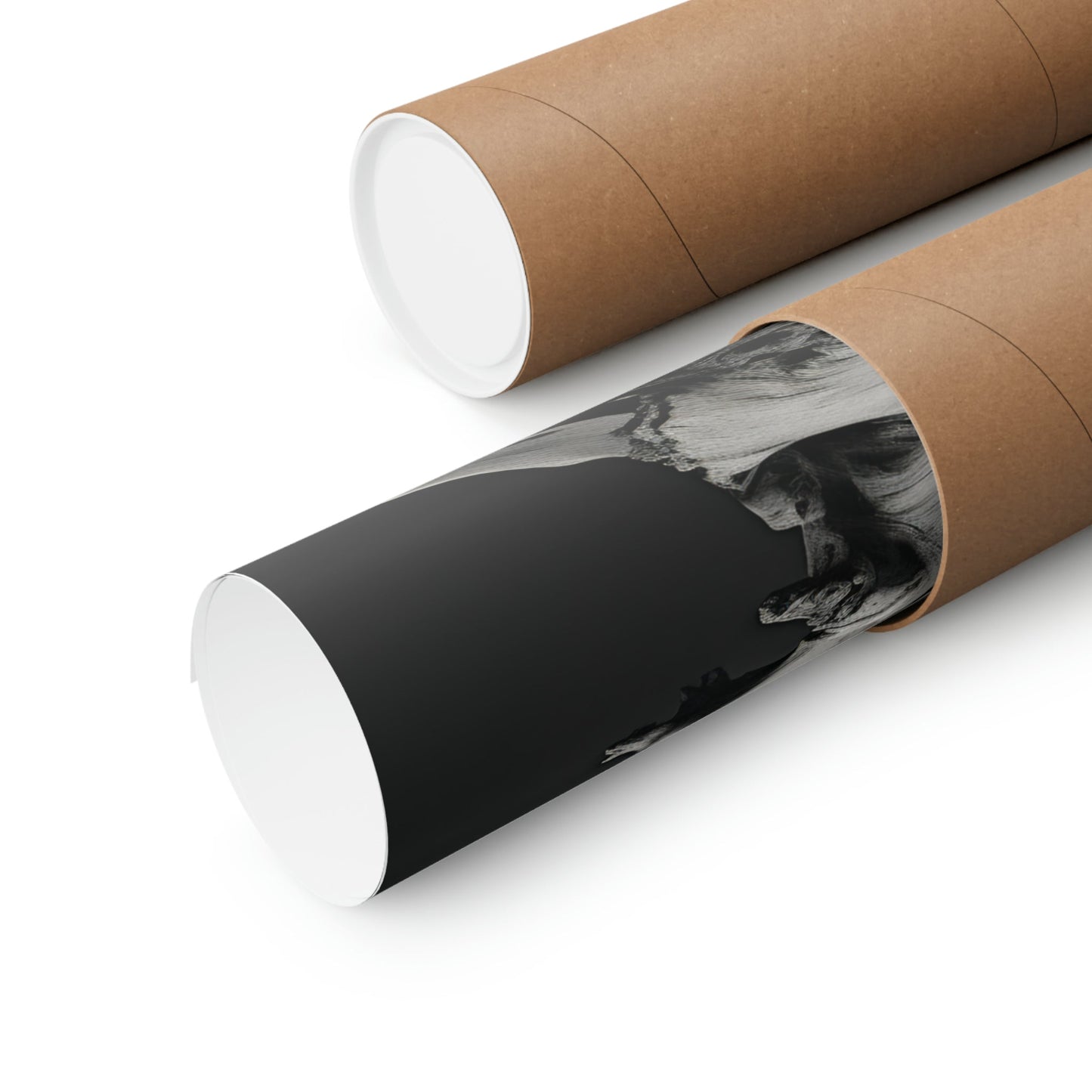 Cardboard tubes or mailing tubes, one containing a rolled-up black and white photograph or print.