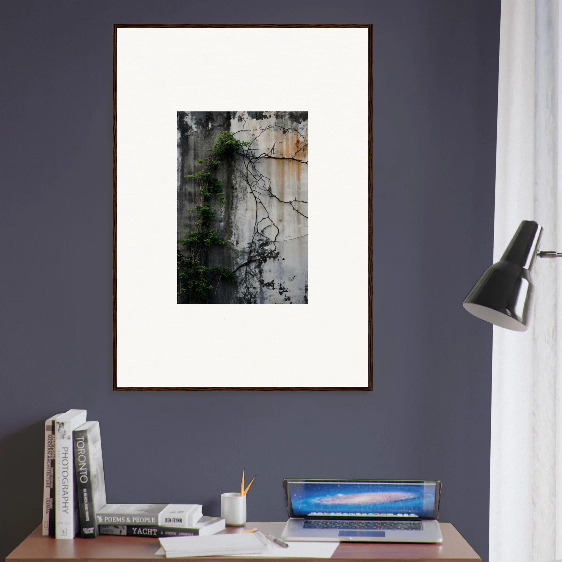 Framed canvas print featuring vine shadows on a weathered wall for urban tango room decoration