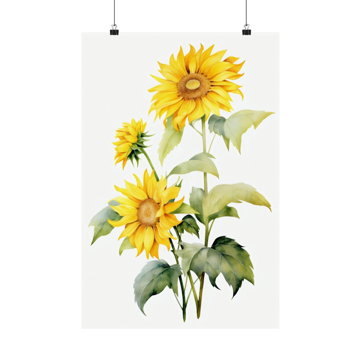 A yellow sunflower with green leaves on a white background